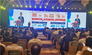 魏少軍:最近中國半導體很熱，熱的有點不像話