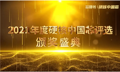 中國(guó)芯實(shí)力 比亞迪半導(dǎo)體榮獲“硬核中國(guó)芯”雙料獎(jiǎng)。
