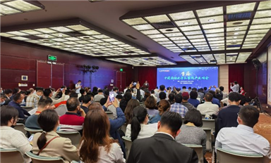 全球“缺芯”，國產(chǎn)化替代不樂觀 專家稱產(chǎn)業(yè)鏈與供應(yīng)鏈應(yīng)并舉