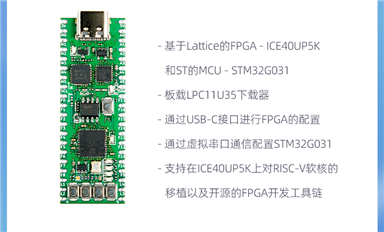 學FPGA、學MCU、學FPGA +MCU？一塊板搞定！