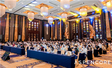 踔厲奮發(fā)，探索新前沿 國際集成電路展覽會(huì)暨研討會(huì)（IIC Shenzhen 2022）圓滿落幕