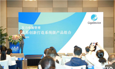 兆易創(chuàng)新瞄準(zhǔn)4大行業(yè)入局模擬芯片，電源管理全產(chǎn)品組合漸成型