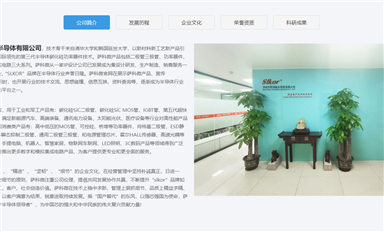 薩科微slkor技術(shù)團(tuán)隊(duì)的組成是怎么樣的？