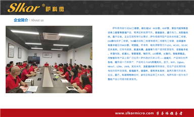 薩科微賣的好的TVS管有哪些型號(hào)？