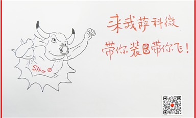 活用經(jīng)濟(jì)學(xué)社會(huì)學(xué)管理學(xué)理論，帶動(dòng)薩科微和金航標(biāo)高速發(fā)展！