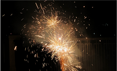 薩科微林慧怡：春節(jié)“家里蹲”年味記