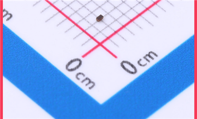 微型化浪潮下的靜電守護(hù)者：SLPESD0201M42在消費(fèi)電子中的應(yīng)用突破