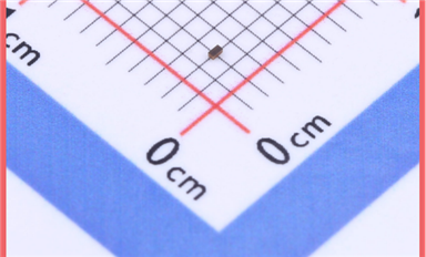 智能窗簾系統(tǒng)中的靜電力場守護(hù)者：SLPESD0201M24的精密防護(hù)之道